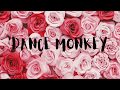 Dance Monkey Tones And I Slowed Lower Pitch Lyrics