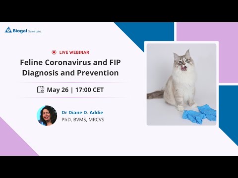 Feline Coronavirus and FIP Diagnosis & Prevention
