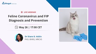 Feline Coronavirus and FIP Diagnosis & Prevention