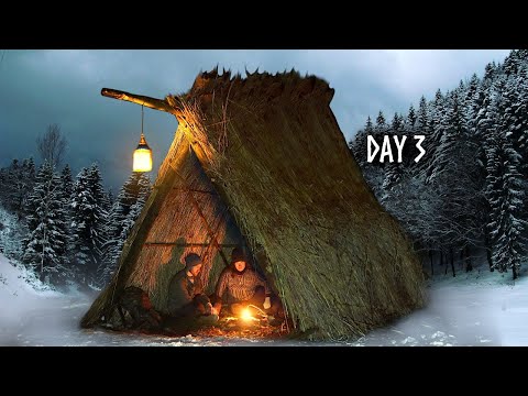 Building a VIKING HUT to Survive the Nordic Winter 🥶 Primitive Bushcraft Shelter