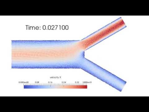 SPH simulation of laminar flow in a bifurcation