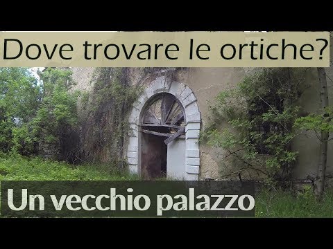 Spray m-16 per luso come una potenza Esercizio per aumentare la potenza maschile