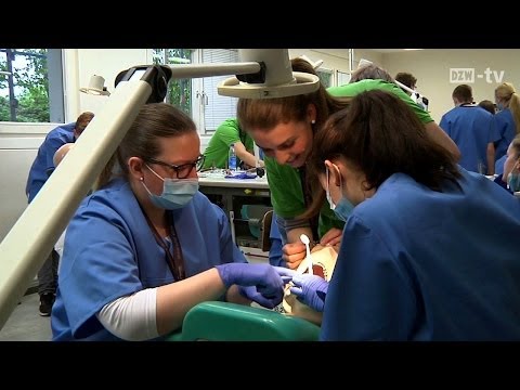 Schnupperstudium Zahnmedizin - Probebohren an der Uni Witten/Herdecke