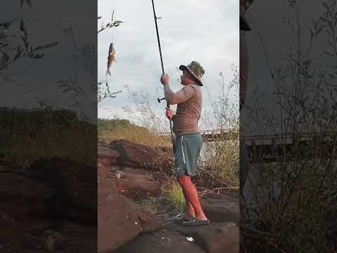 Represa de #Baygorria 2026 #pesca #exprés !!! #bagres #taruchas 🎣🌞🌛 Sale vídeo 📹 nuevo #compartan