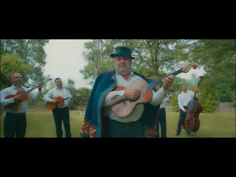 TS Dike - Dedin šešir (Official 4k video)