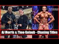 NATTY NEWS DAILY #47 | AJ Morris & Theo Golaub - Chasing Titles
