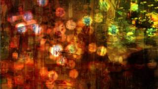 Lilys - "Day of the Monkey" - Official Video