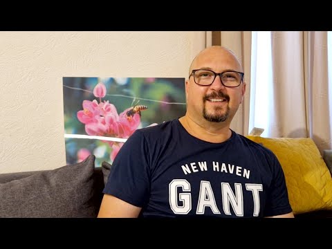 Apicultura romaneasca in Anglia