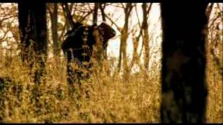 ตัวอย่าง เขาชนไก่ (official trailer)