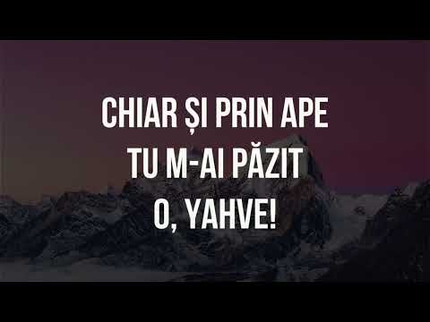 EGIPT - HARVEST (VERSURI) Lyric Video| Harvest Arad