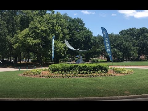 UNCW Professors Talk About Their Decision to Go Solar