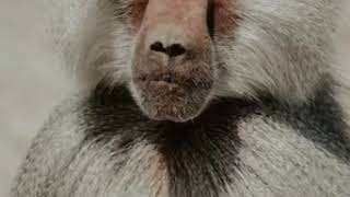 Themenabend - SEXARI (Safari & Sexologie) in Zürich