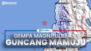 Gempa Bumi Magnitudo 4,5 Guncang Mamuju Tengah, Getaran Gempa Dirasakan Warga Dua Kali