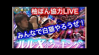 【白猫プロジェクト】ライブ配信！ルルのXクッキング　雑談協力！