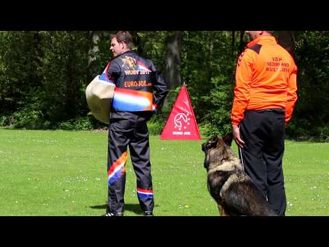 WUSV 2017  VDH Presents Jan van Maren official Trailer