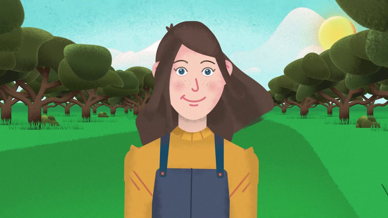 How to plan tomorrow's forest?