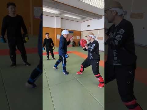 パンチストッピング練習　#short#拳法#格闘技