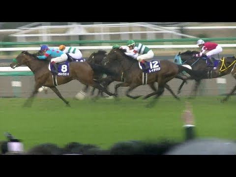 平成最後の有馬記念【中山競馬場】