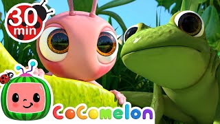 Thumbnail