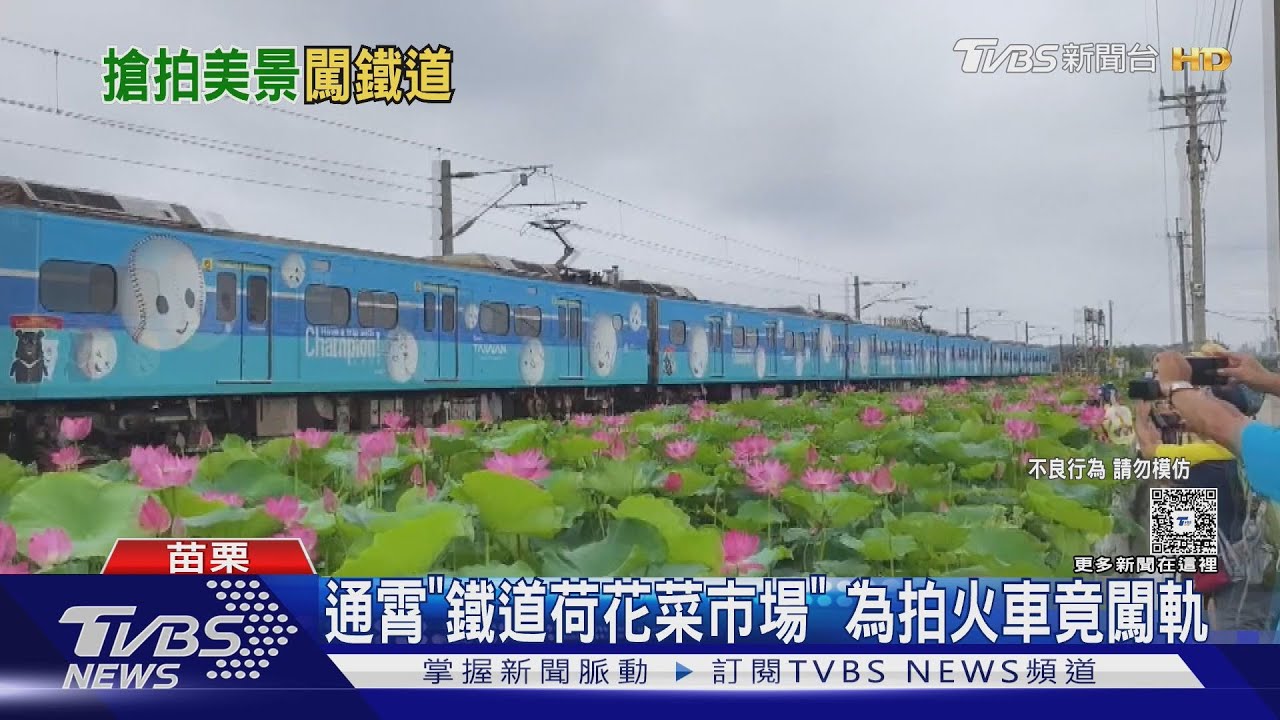 為拍荷花闖鐵軌！遊客危險行徑遭拍下