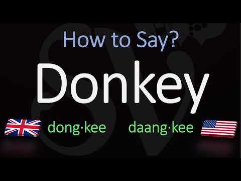 How to Pronounce Donkey? British Vs. American English Pronunciation