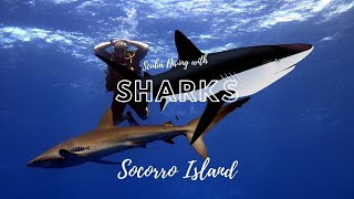 Sharks of Socorro - Scuba Diving in Roca Partida