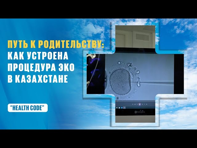Путь к родительству: Как устроена процедура ЭКО в Казахстане