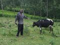 ONKENDI BIKUNDO