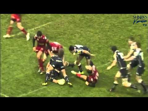Match Reactions: Sharks v Scarlets