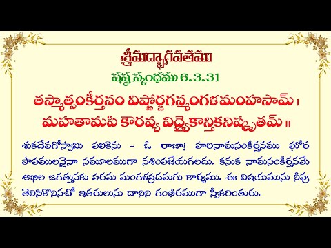 Śrīmad-Bhāgavatam (Bhāgavata Purāṇa) 6.3.31 | by HG Revati Raman Prabhu | 18 September 2022