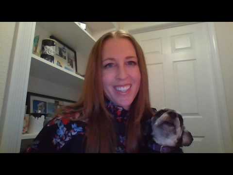 Welcome to Pet-Friendly Staybridge Suites Denver North - Thornton!