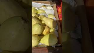 #fresh#fruit#guava#happy#nice#sweet#delicious#asmr#fyp#tasty#ripe#outside#crazy#4u#healthy#yummy