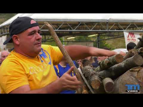 317 2° cantiano fiera cavalli 2019 4k