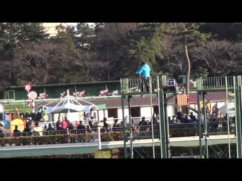 2013年　朝日杯ＦＳ（Ｇ１）　レースを現場で撮影！