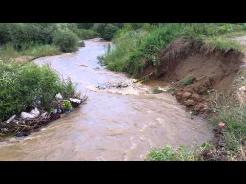 Vidra pe paraul Moceris