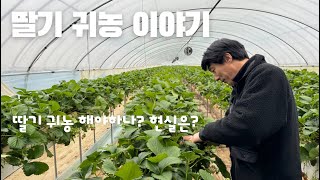 자연이팜 딸기 귀농 이야기