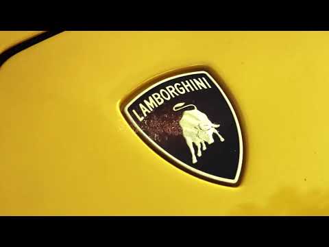 C.R.O x Monkey x We$t dubai=Lambo