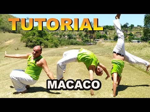 Master Koioty Tutorial #02 (Monkey / Little Monkey / Monkey Jump) - Learning to Flourish 2.0