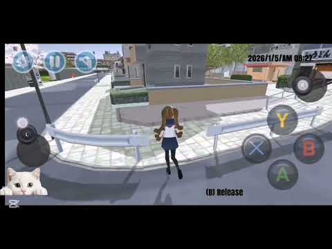 Тутор в хсс 2018