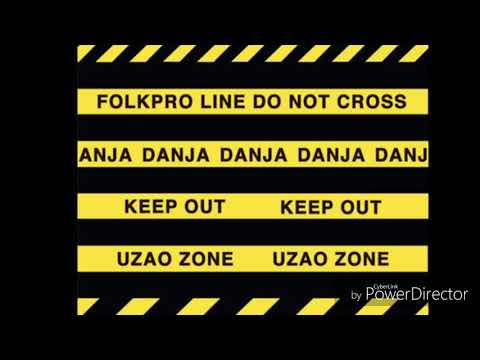 FOLKPRO MUSIQUE - DANJA (2017)