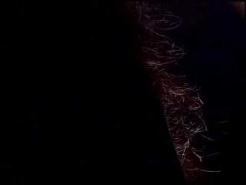 Casey Moore's Oyster House Video 3