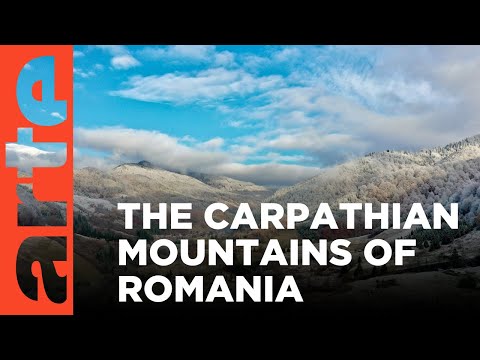 Europe's Largest National Park in the Carpathians? | ARTE.tv Documentary