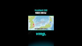 귀소본능이 만든 죽음의 레이싱 / 비디오머그 #shorts