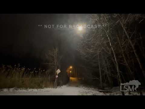 12-23-2021 Shelby Township MI.  Freezing Rain in the Trees