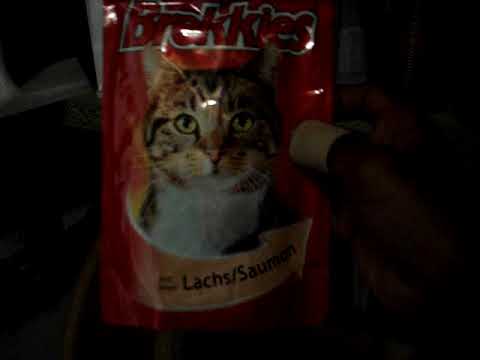 film test sajan 2002