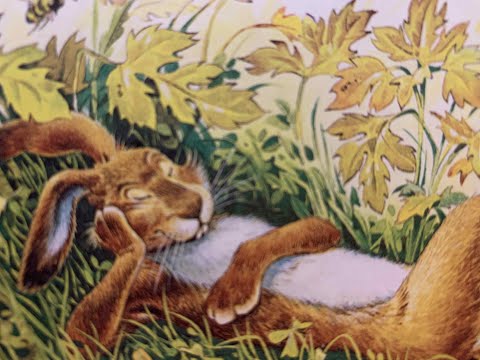 Хвастливый заяц. Басня по мотивам басен Эзопа в пересказе Е. Каргановой.