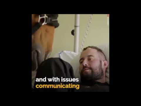 Peyo, The Therapists