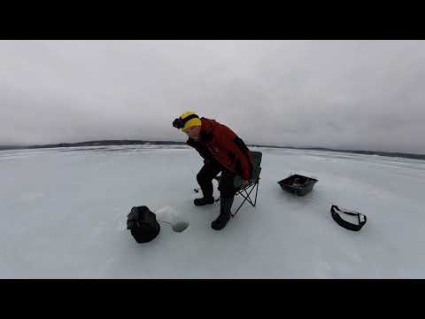 Kuhan pilkintää ja ahvenet häiritsee /2022