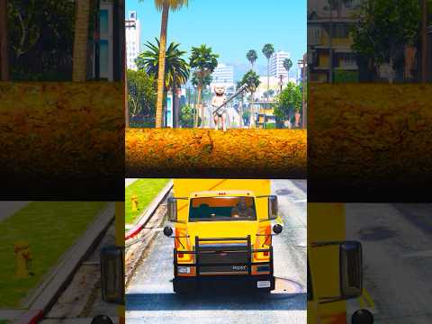 Dogs teach us love in its purest form | GTA V | #shorts #202