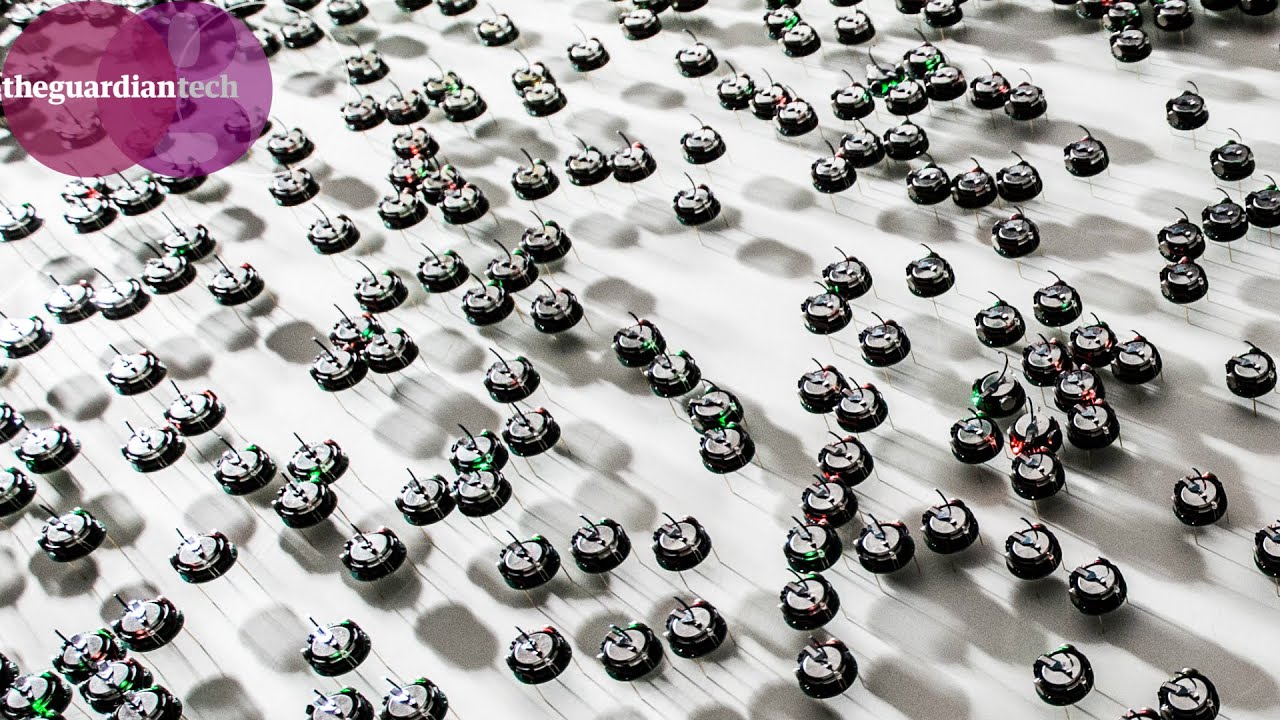 Robot swarms: will they bomb us or save us? | Features
